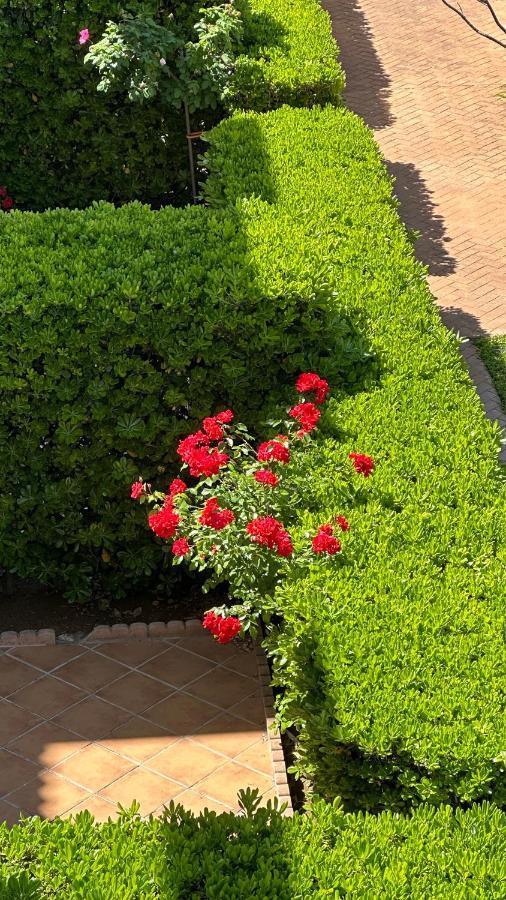 La Rosaleda 17 Appartement Dénia Buitenkant foto