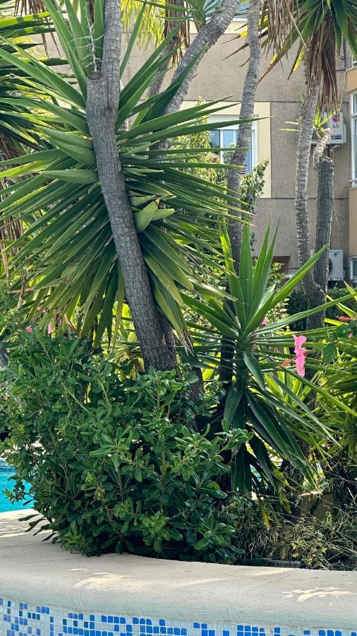 La Rosaleda 17 Appartement Dénia Buitenkant foto