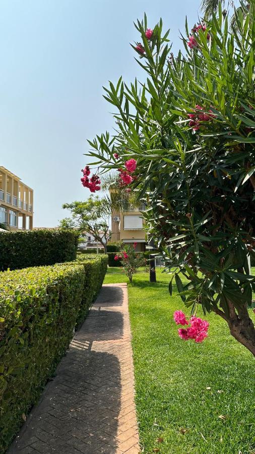 La Rosaleda 17 Appartement Dénia Buitenkant foto